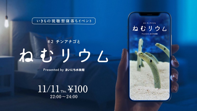 11月11日開催 すみだ水族館「チンアナゴとねむリウム」