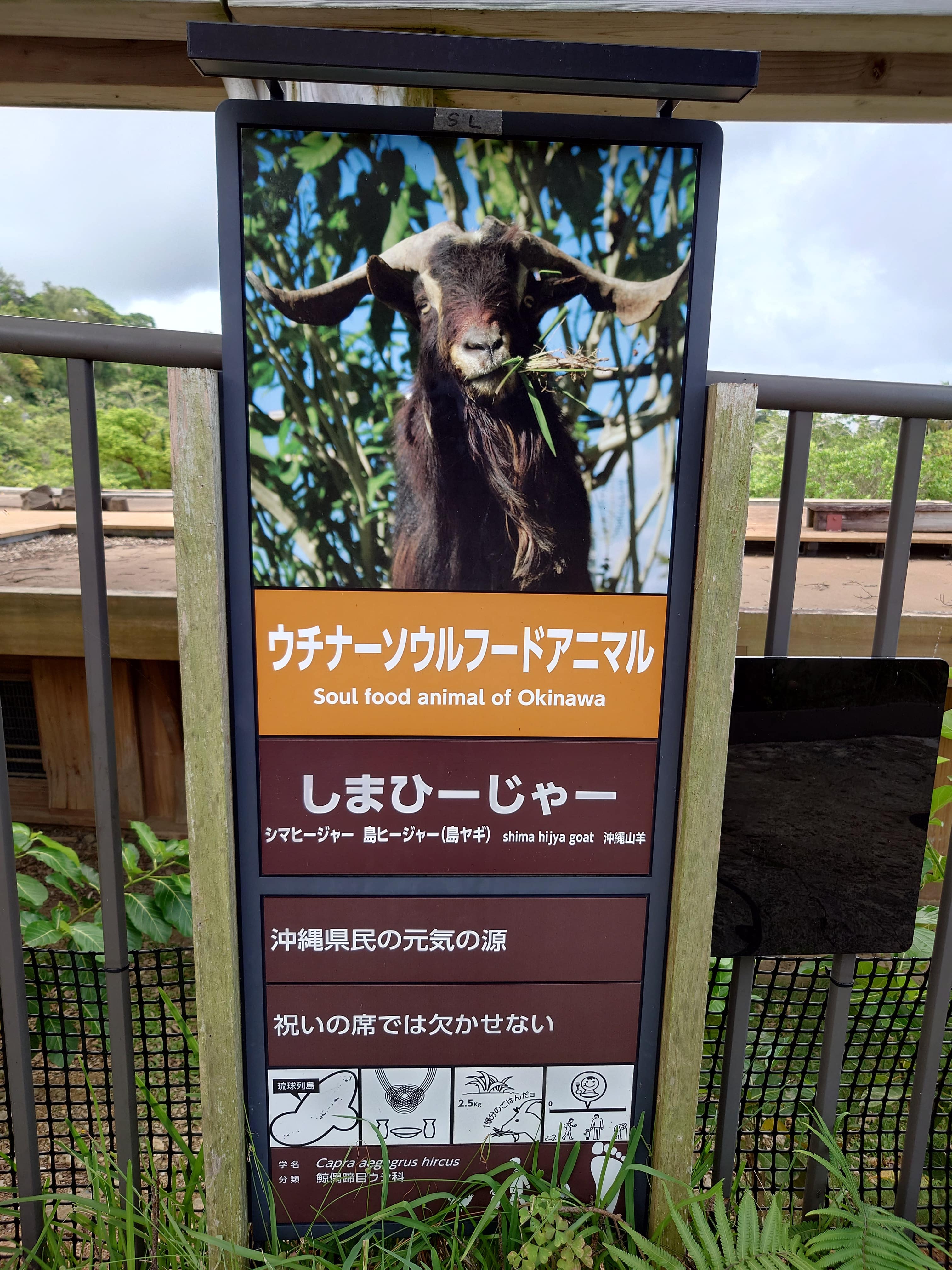 動物園は楽しく学んでなんぼ