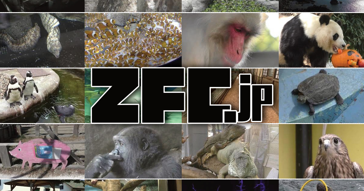 動画一覧 | ZFC.jp