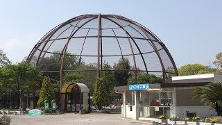 Water poultry house (Kurume Bird Center, Fukuoka, Japan) April 19, 2019
