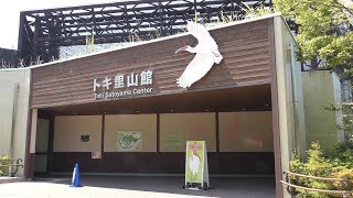 トキ里山館 (いしかわ動物園) 2019年8月18日