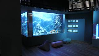 Classroom of the Sound of the Waves　(Minatoyama Aquarium, Hyogo, Japan) July 1, 2022