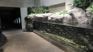 ふるさとの水辺 (大分マリーンパレス水族館 うみたまご) 2019年12月5日
