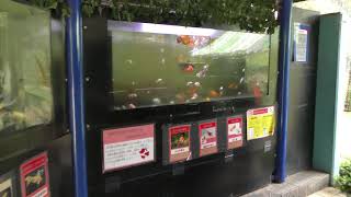 ミニミニ水族館 (智光山公園 こども動物園) 2018年7月22日
