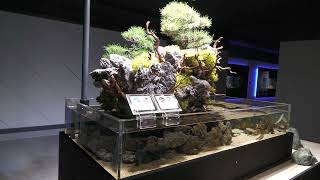 Area1 WELCOME ZONE (SMART AQUARiUM SHIZUOKA, Shizuoka, Japan) July 30, 2022