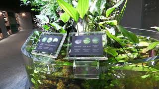 Area4 DISCOVERY (SMART AQUARiUM SHIZUOKA, Shizuoka, Japan) July 30, 2022