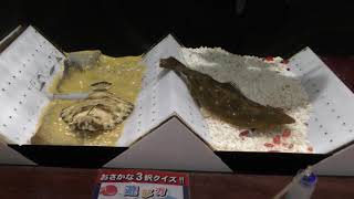 カレーライス水槽 (ヨコハマおもしろ水族館) 2017年12月16日