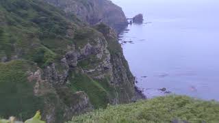 観音岬園地 (北海道 天売島) 2019年6月22日