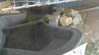 World Snake (Okinawa world, Okinawa, Japan) May 13, 2019