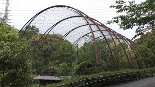 Aviary (ITOZU NO MORI Zoological Park, Fukuoka, Japan) April 25, 2019