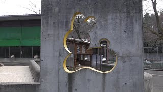 ウサギ (悠久山小動物園) 2019年4月6日