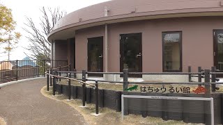 Reptiles house (KAMINE ZOO, Ibaraki, Japan) December 4, 2018