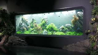 Facility Tour (DMM Kariyushi Aquarium, Okinawa, Japan) July 29, 2023