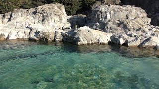 ペンギンプール (葛西臨海水族園) 2017年12月17日