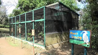 カンムリシロムク舎 (埼玉県こども動物自然公園) 2020年9月15日