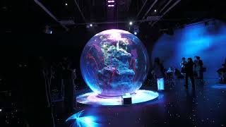 Encounter of the Miraculous Planet | AQUA TERRA (átoa, Hyogo, Japan) October 30, 2021
