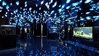 Cave of the Beginning (átoa, Hyogo, Japan) October 30, 2021