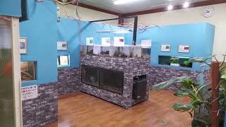水槽展示 (浦安市交通公園 動物広場) 2023年8月4日