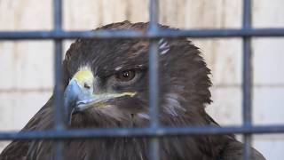 鳥舎 (みさき公園) 2020年1月19日
