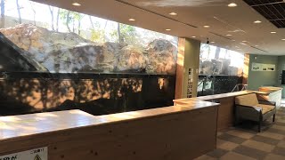 川のなかまたち (島根県立宍道湖自然館 ゴビウス) 2019年11月30日