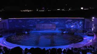 ナイトドルフィンパフォーマンス (仙台うみの杜水族館) 2019年8月14日
