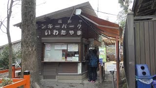 山頂までの道のり (嵐山モンキーパーク いわたやま) 2019年1月26日