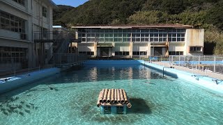 屋外大水槽 (むろと廃校水族館) 2019年12月20日