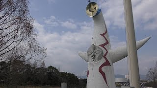 野鳥たち (大阪・万博記念公園) 2019年3月12日