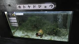 モクちゃんハウス (松本市アルプス公園) 2019年4月4日