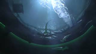 神無月の景 (四国水族館) 2021年8月4日