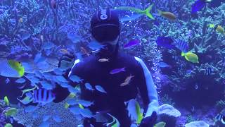 サンゴ大水槽での水中散歩 (大分マリーンパレス水族館 うみたまご) 2019年12月5日