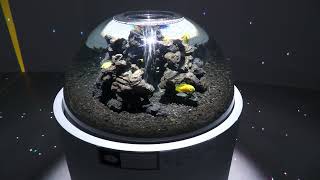 Encounter of the Miraculous Planet (átoa, Hyogo, Japan) October 30, 2021