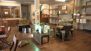 Reptiles & Amphibians (Reptiles Care REPU-HOUSE, Ehime, Japan) December 24, 2019