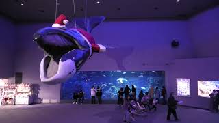 エントランス (鳥羽水族館) 2020年12月25日