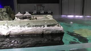 出島の湖 (かすみがうら市水族館) 2017年12月2日
