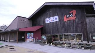 屋外プール (鳥取県立とっとり賀露かにっこ館) 2019年11月27日