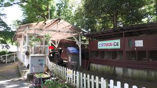 Rakujuen (July 31, 2022)