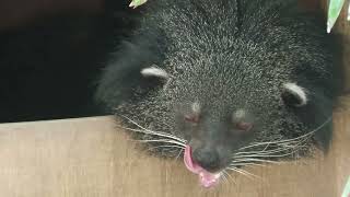浦安市交通公園 動物広場 (2023年8月4日)