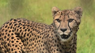 千葉市動物公園 (2020年9月17日)