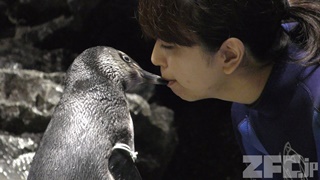 すみだ水族館 (2017年10月29日)