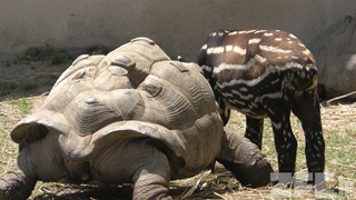 東武動物公園 (2018年5月6日)