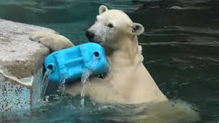 天王寺動物園 (2021年9月29日)