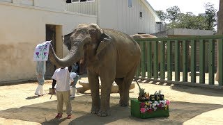 王子動物園 (2019年9月15日)