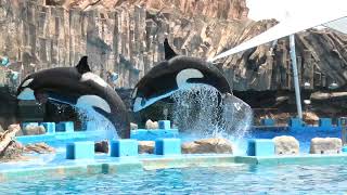 名古屋港水族館 (2021年7月23日)