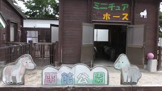 函館公園 こどものくに (2019年8月9日)