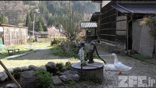 Folk Craft Museum Takumi-no-yakata (April 21, 2018)