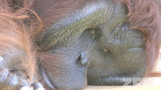 多摩動物公園 (2018年9月9日)