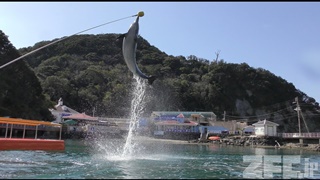 下田海中水族館 (2018年3月18日)