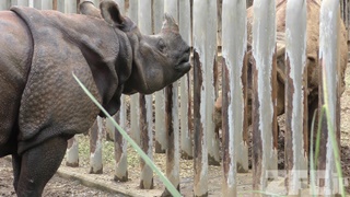 多摩動物公園 (2017年9月23日)