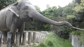 到津の森公園 (2019年4月25日)